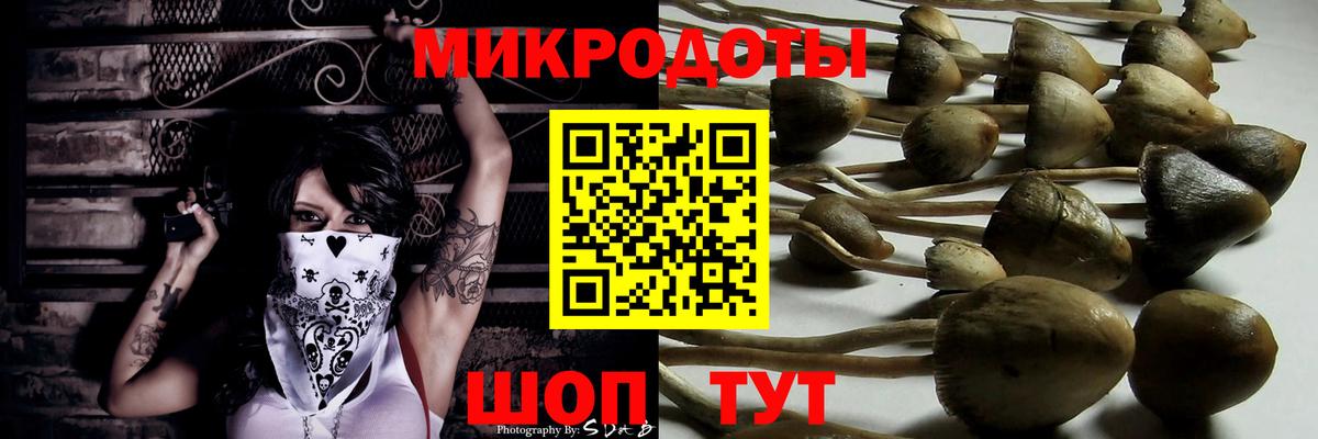 Псилоцибиновые грибы ЛСД  Галлюциногенные грибы GOLDEN TEACHER  Приморско-Ахтарск  Вход с VPN 